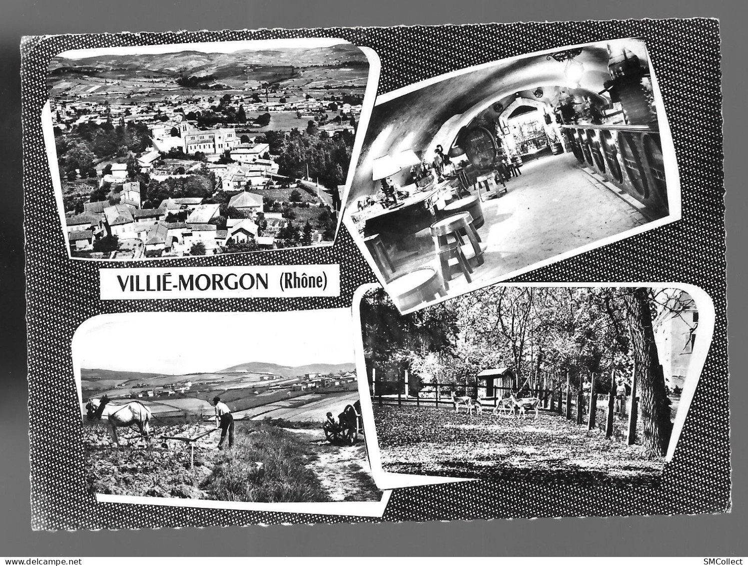 Villié Morgon, Multivues (A9p38) - Villie Morgon