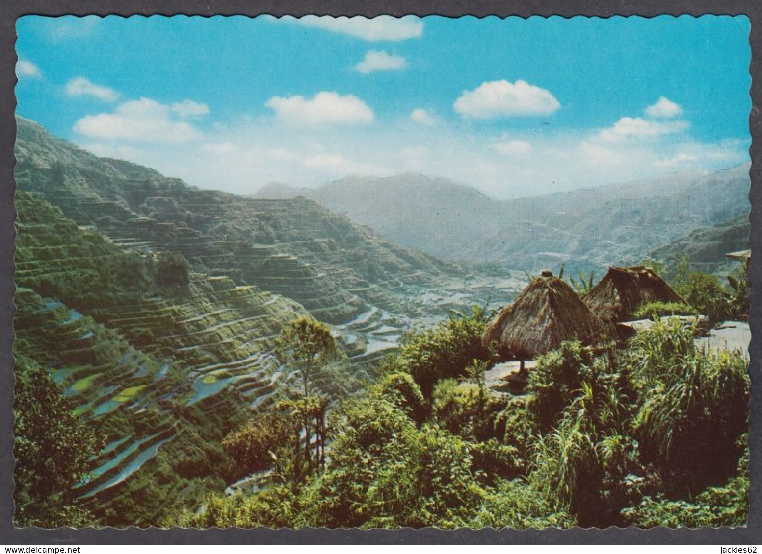 127781/ BANAUE, Rice Terraces - Philippines