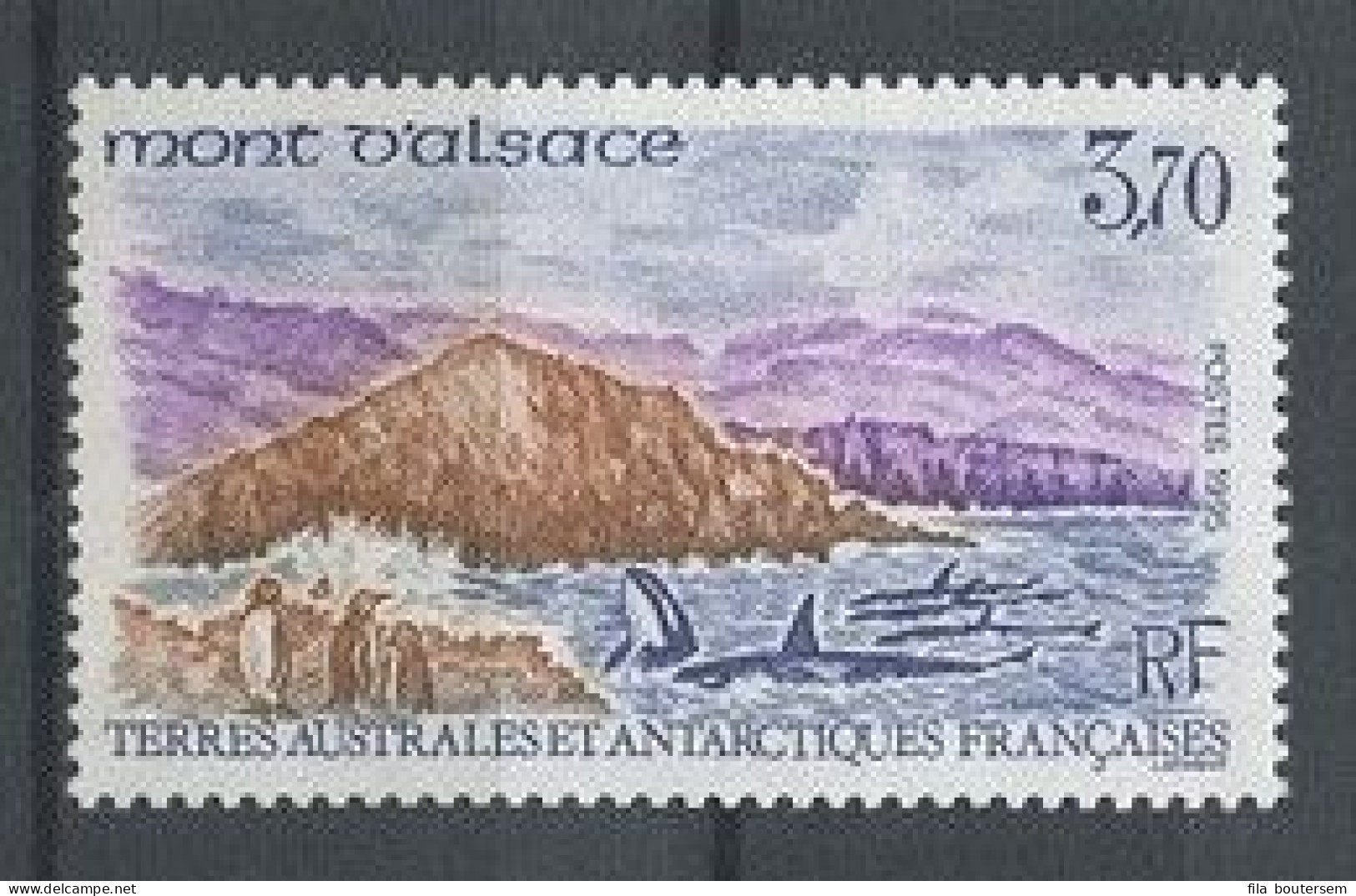 TAAF 1995 N° 200 ** Neuf MNH Superbe Faune Marine Oiseaux Manchots Orques Le Mont D' Alsace Animaux - Unused Stamps