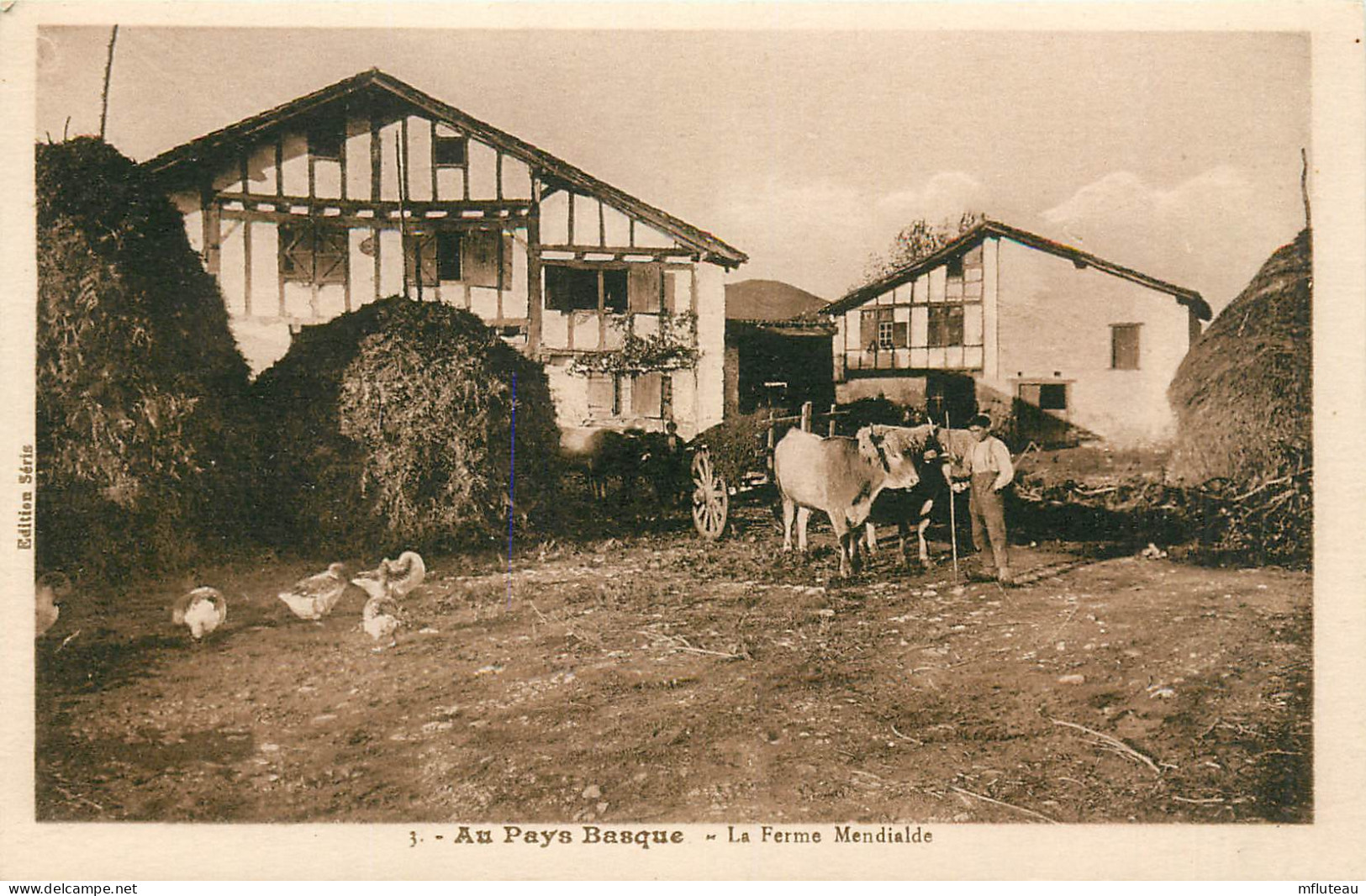 64* PYRENEES   Pays Basque – La Ferme « mendialde »  RL26,0687 - Fermes