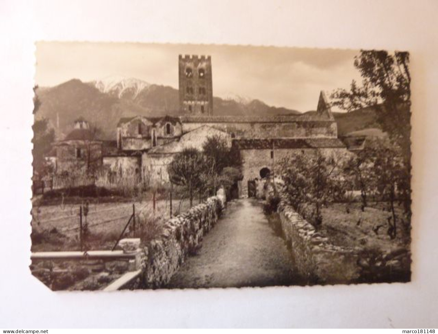 PRADES - Abbaye De St Michel De Cuxa - Potager Du Cloître - Au Fond, Le Canigou - Prades