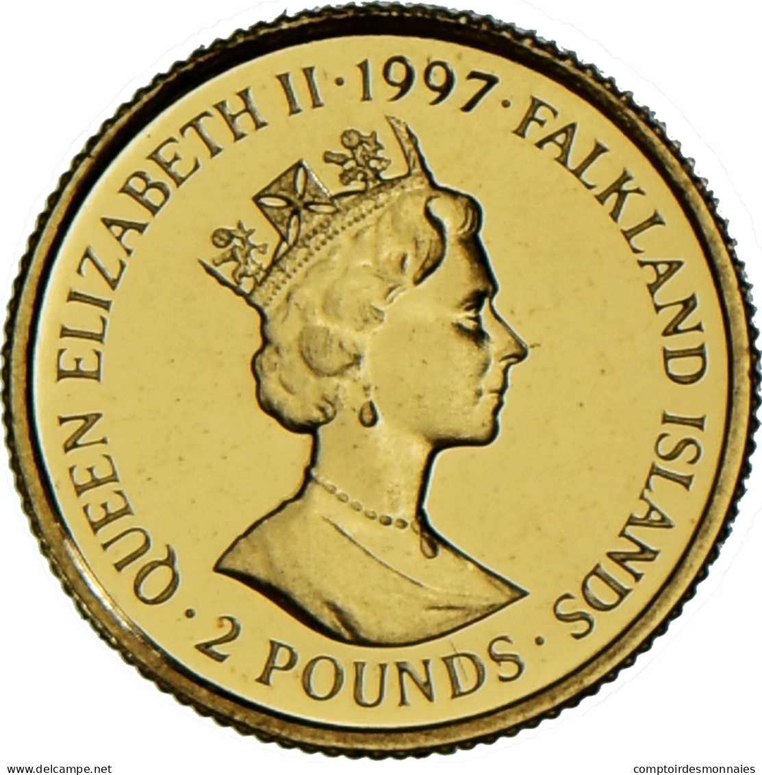 Monnaie, Îles Falkland, Elizabeth II, 2 Pounds, 1997, British Royal Mint, SPL - Falkland