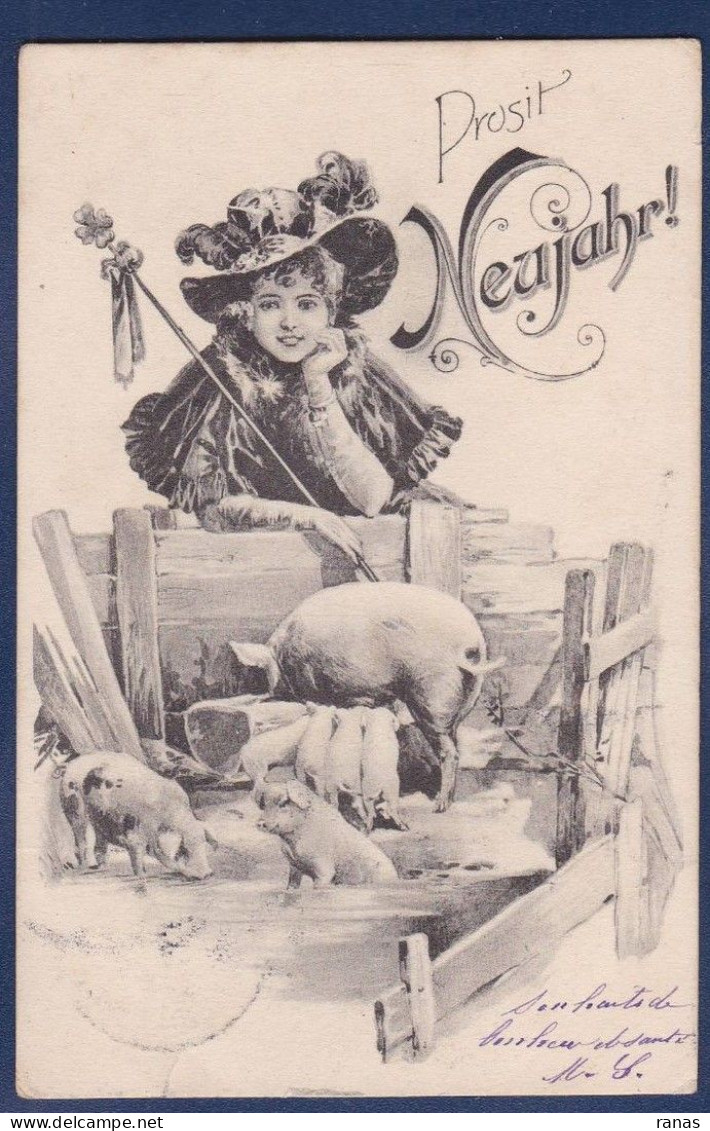 CPA Cochon Avec Femme Pig Circulé Surréalisme Femme Women érotisme Suggestif - Varkens