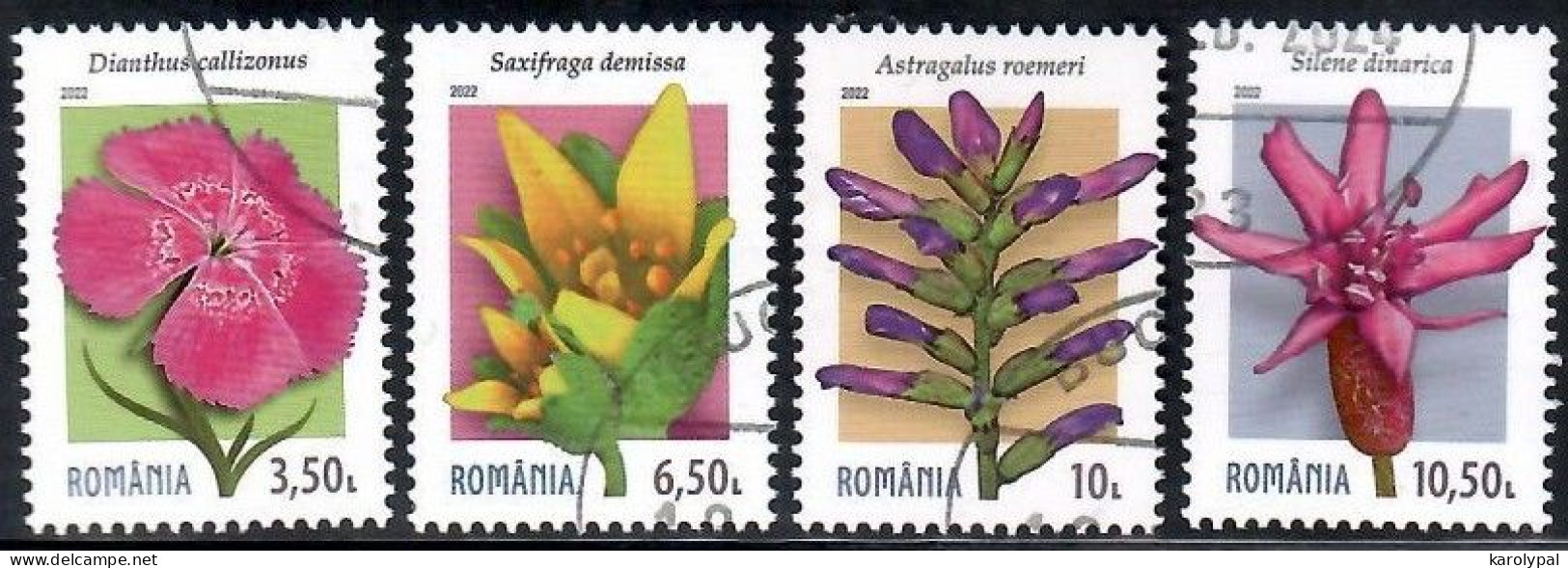 Romania, 2022 CTO, Mi. Nr.8076-9, Endemic Plants - Usati