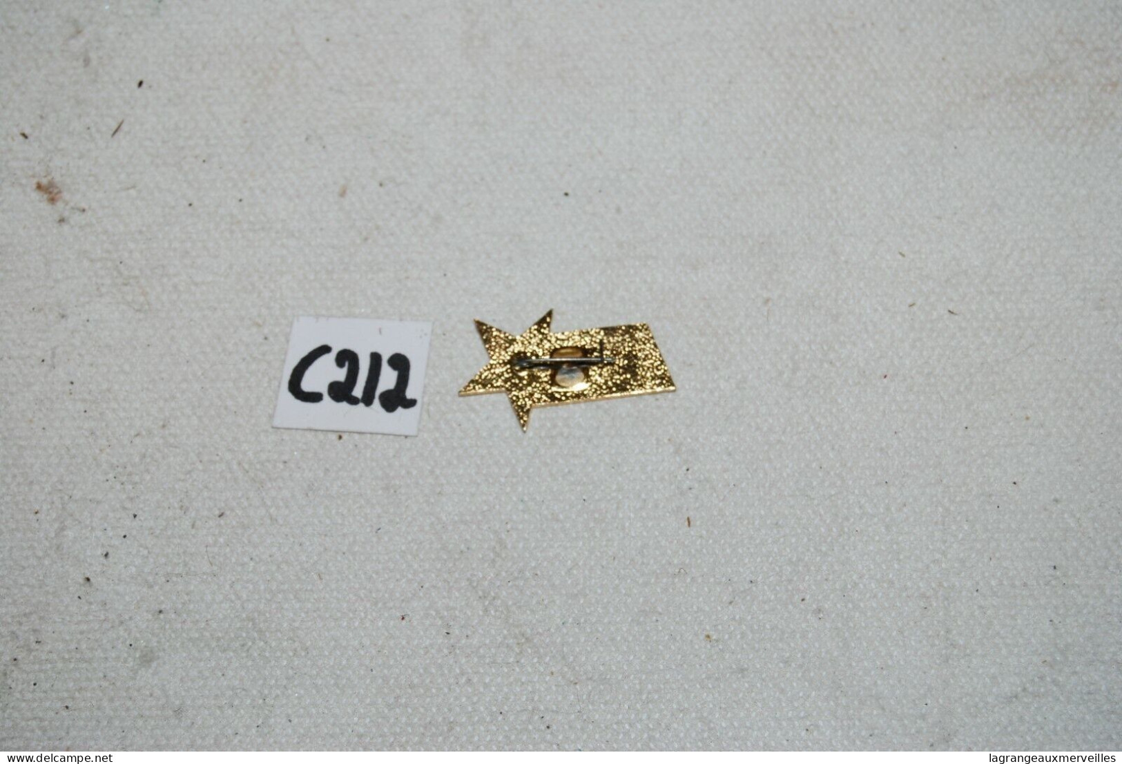C212 Ancienne Broche - Pins - Spille