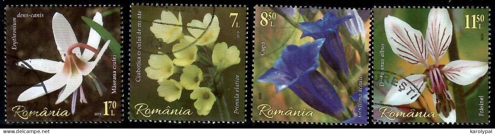 Romania, 2019 CTO, Mi. Nr.7597-600, Flowers - Gebruikt