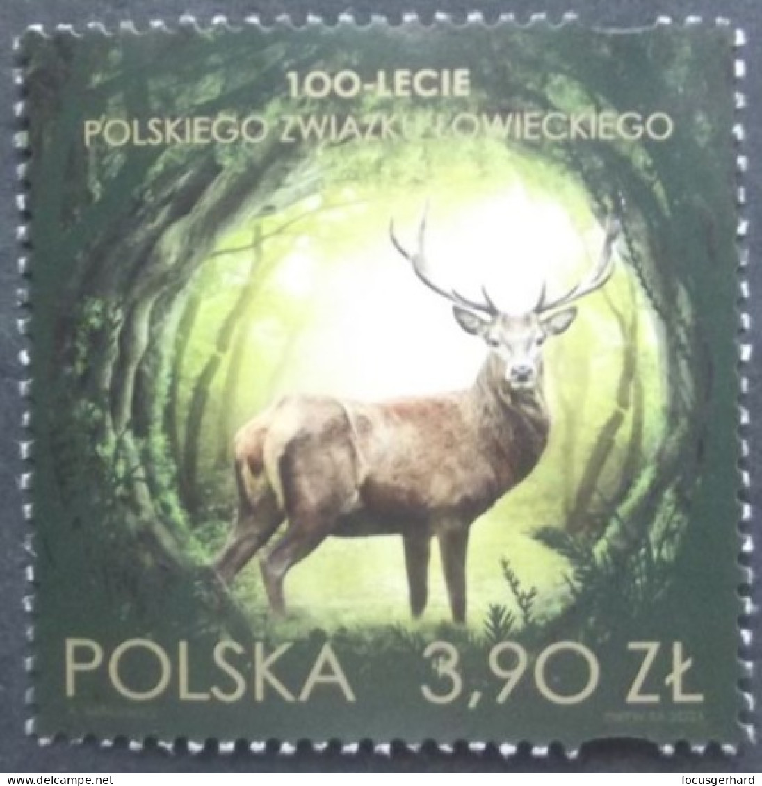 Polen  Hirsch  2023    ** - Wild