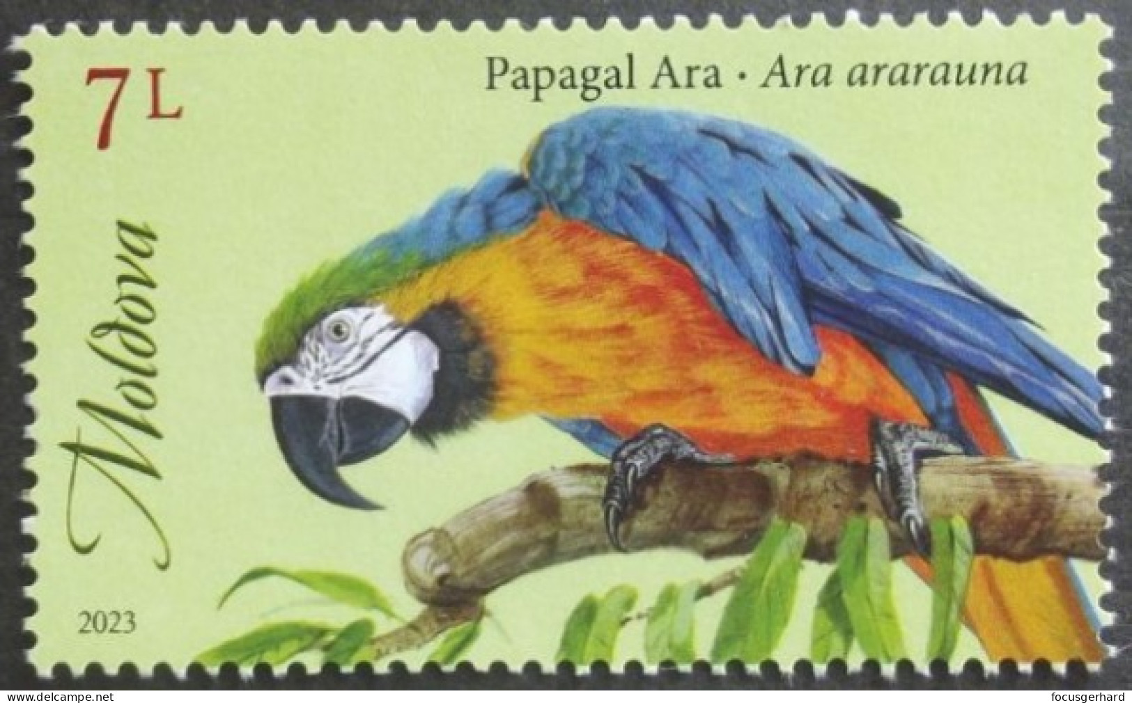 Moldawien        Vögel   2023  ** - Parrots
