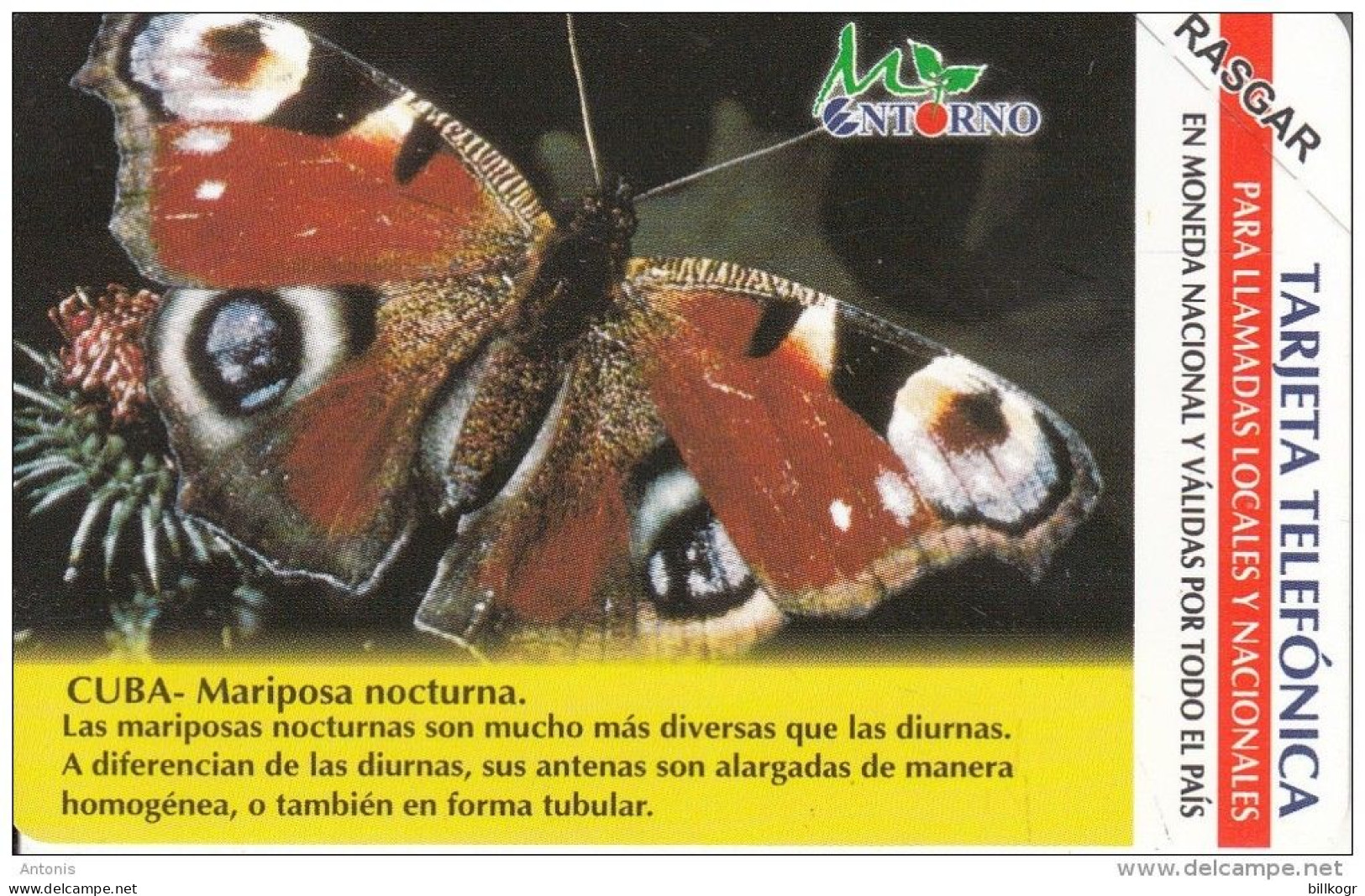 CUBA(Urmet) - Butterfly, Mariposa Nocturna, Tirage 75000, 01/03, Mint - Cuba
