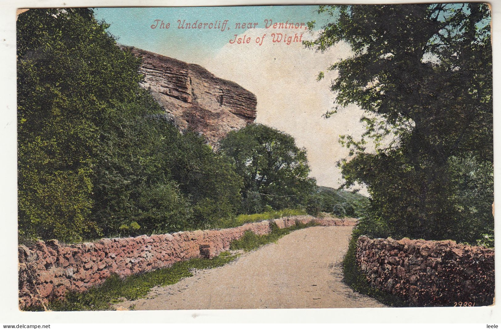 CR78.  Antique Postcard. The Undercliff, Near Ventnor. Isle Of Wight. - Ventnor