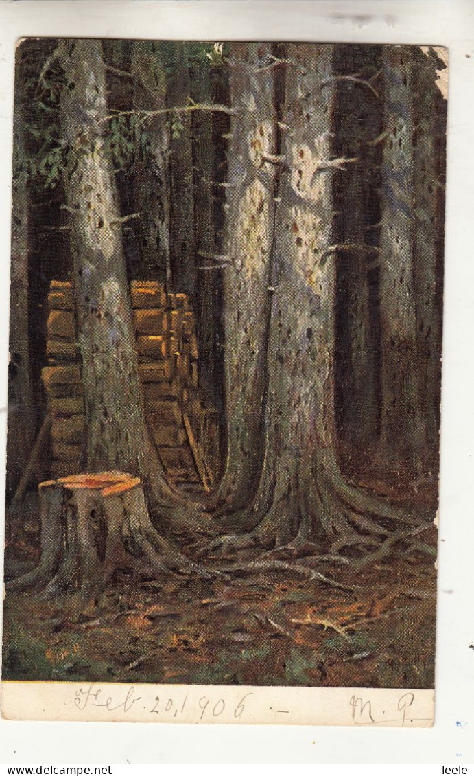 CR46. Vintage Undivided Postcard.  Trees. Wood Cutting. - Bomen