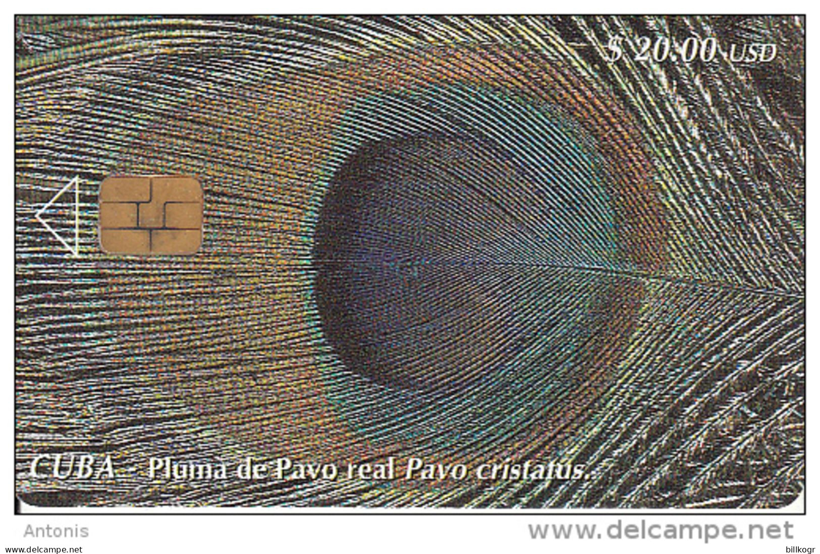 CUBA - Pluma De Pavo Real Pavo Cristatus, Tirage 30000, 10/00, Used - Cuba