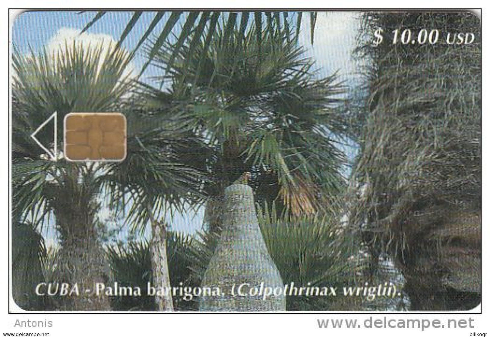 CUBA - Palma Barrigona, Tirage 30000, 06/01, Used - Cuba