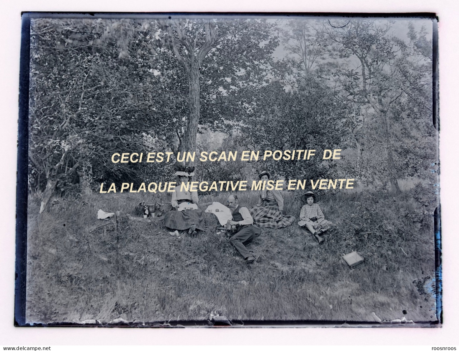 PLAQUE DE VERRE NEGATIVE 9x12 - PIQUE-NIQUE EN FORET - Diapositivas De Vidrio