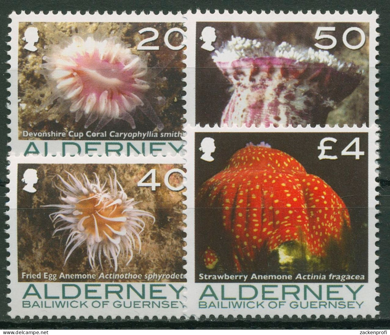 Alderney 2007 Meerestiere Anemone Koralle 310/13 Postfrisch - Alderney