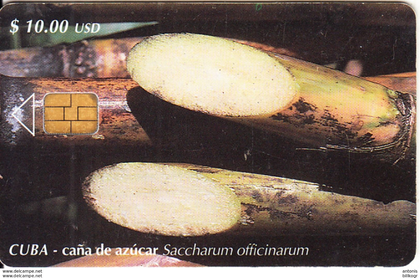 CUBA - Sugar Cane, Tirage 30000, 03/01, Used - Kuba