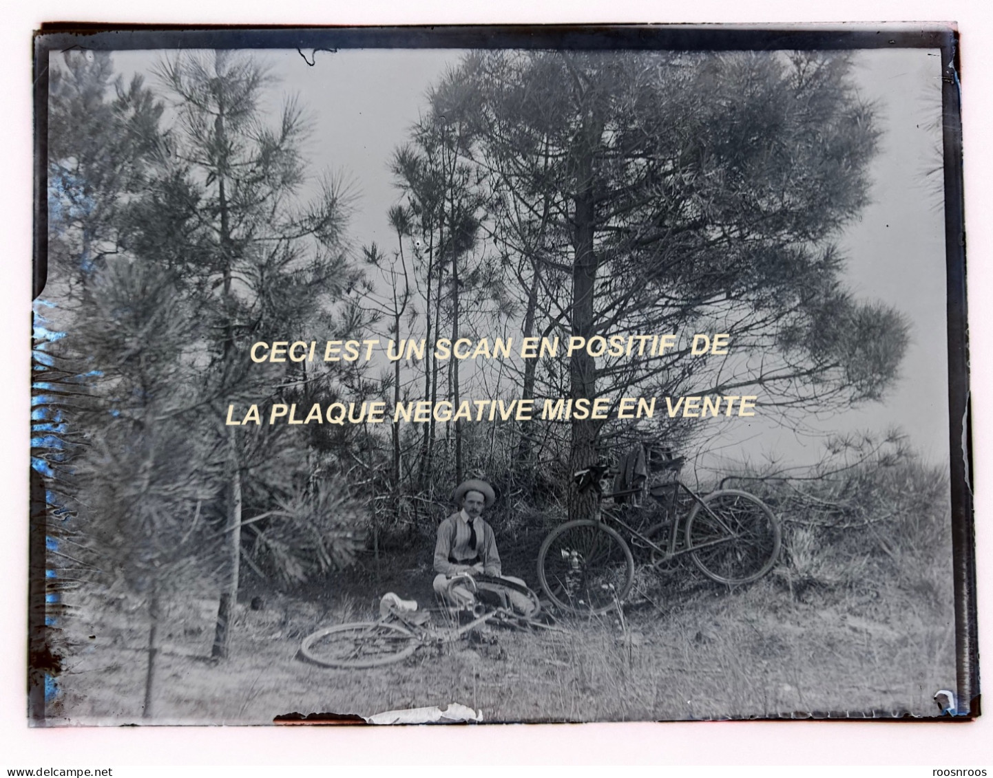 PLAQUE DE VERRE NEGATIVE 9x12 - CYCLISTE EN PAUSE DANS UNE PINEDE - Glass Slides