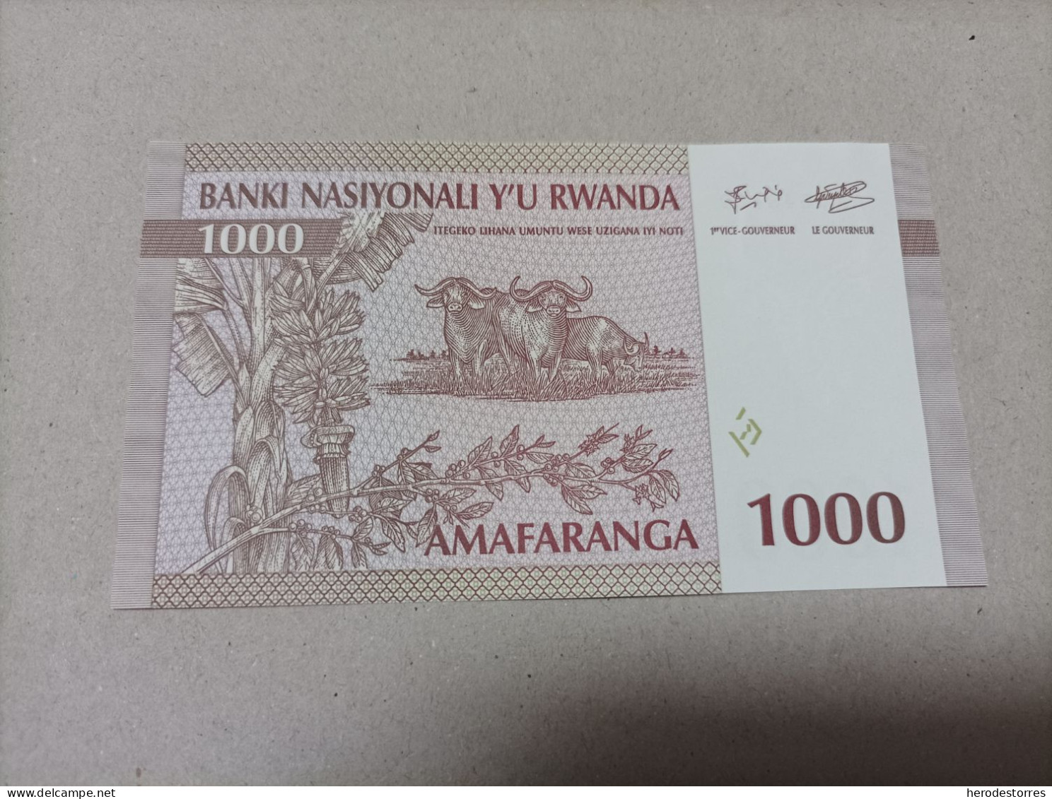 Billete Rwanda, 1000 Francs, Serie AA, Año 1994, UNC - Ruanda