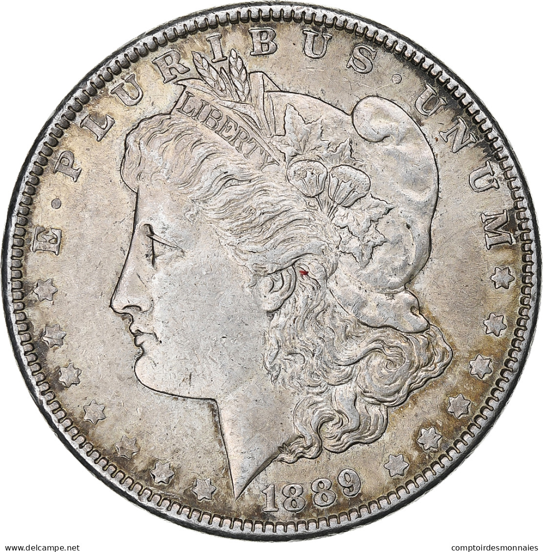 États-Unis, Dollar, Morgan, 1889, Philadelphie, Argent, TTB+, KM:110 - 1878-1921: Morgan