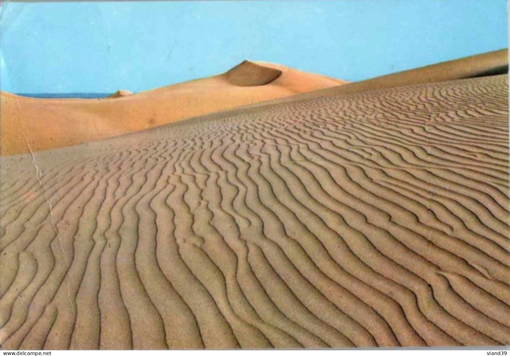MASPALOMAS. Les Dunes.  -  1979 - Other & Unclassified