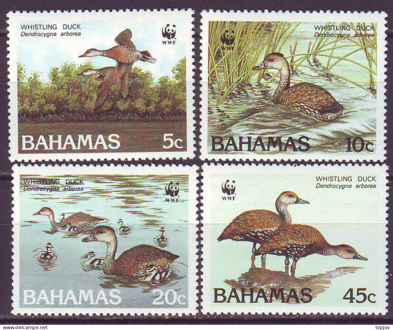 BAHAMAS - WWF  BIRDS  DUCK - **MNH - 1988 - Unused Stamps