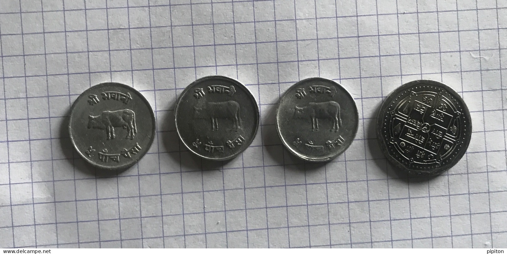 Pièces De Monnaie Nepal 5 Paisa Et 50 Paisa - Nepal