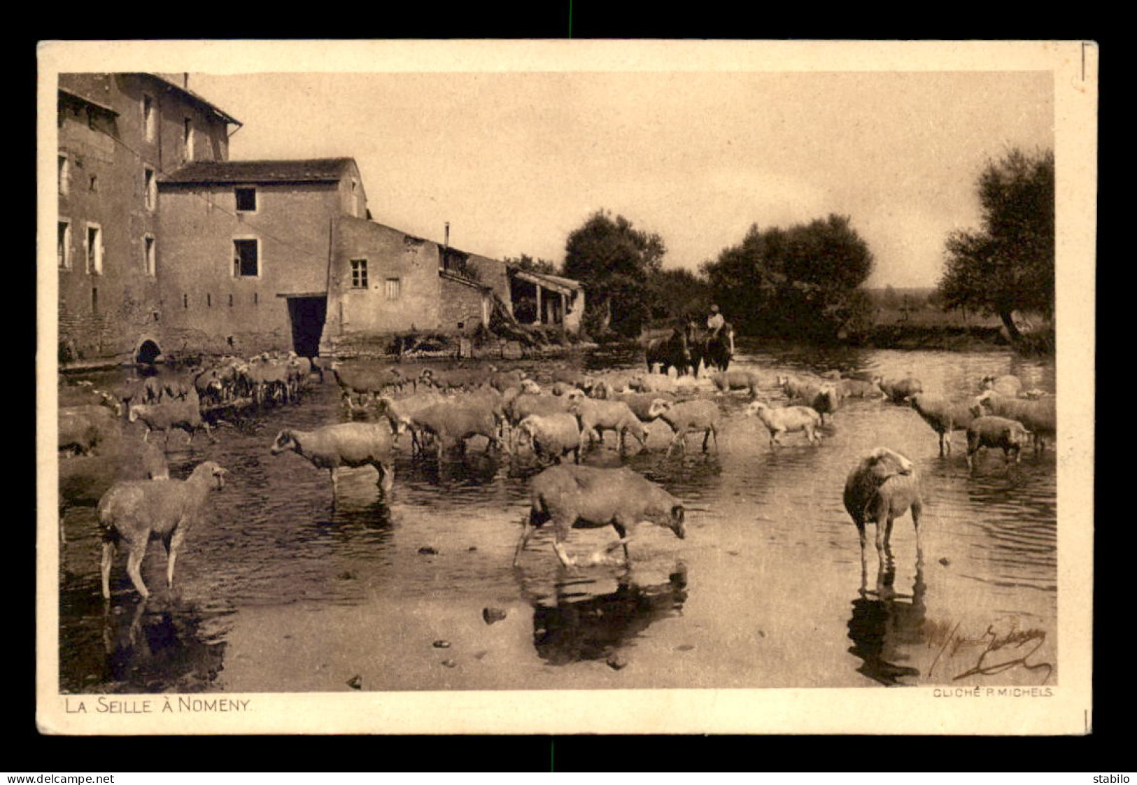 54 - NOMENY - TROUPEAU DE MOUTONS DANS LA SEILLE - AGRICULTURE - Nomeny