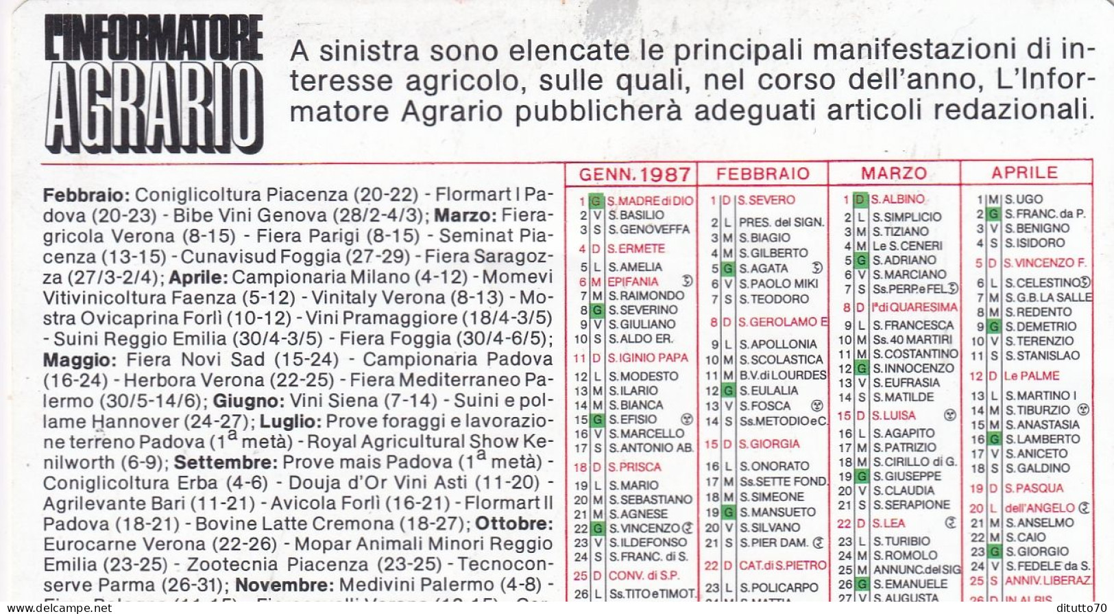 Calendarietto - L'informatore Agrario - Anno 1987 - Tamaño Pequeño : 1981-90