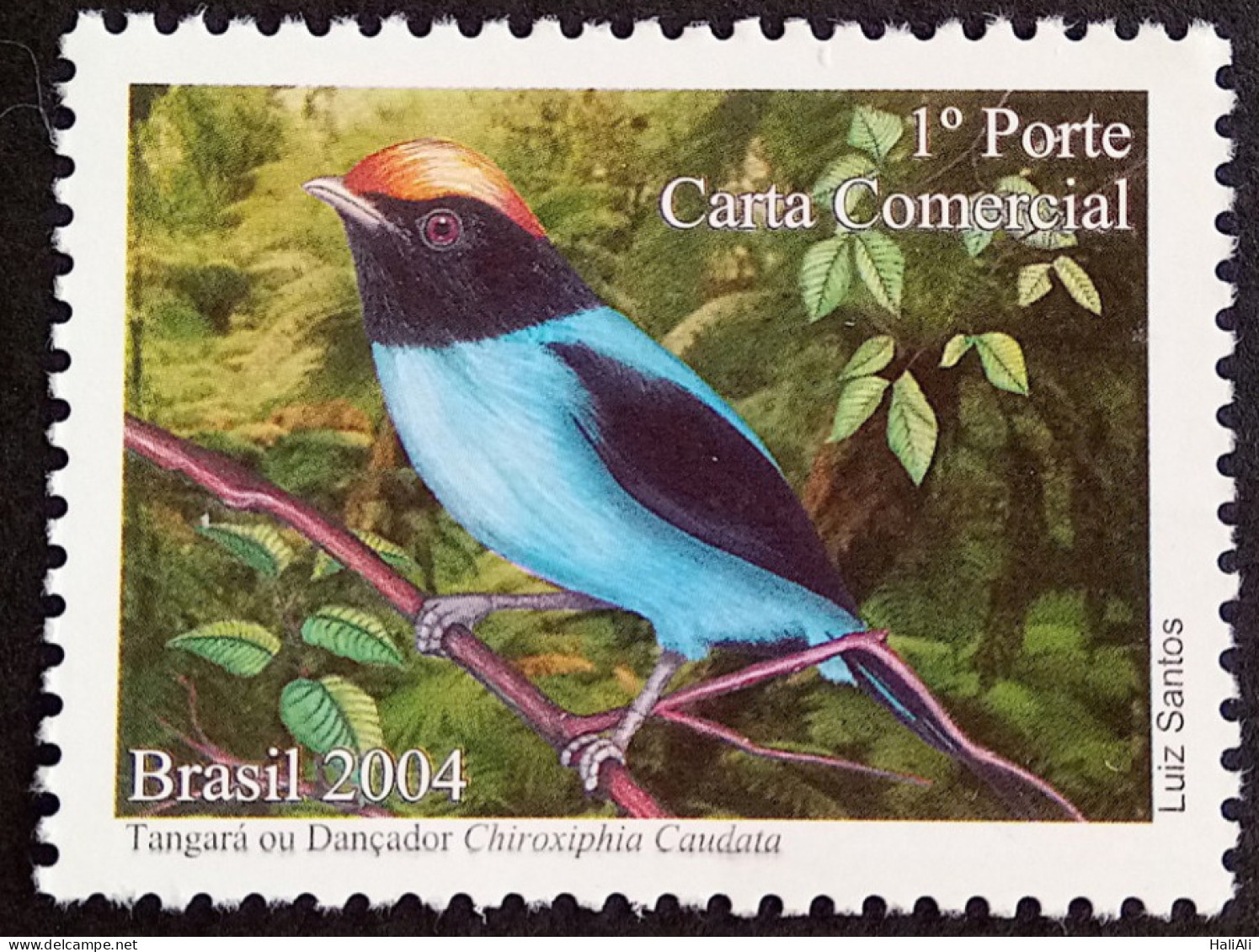 C 2596 Brazil Depersonalized Stamp Dancer Tangara Bird Fauna 2004 - Personalisiert