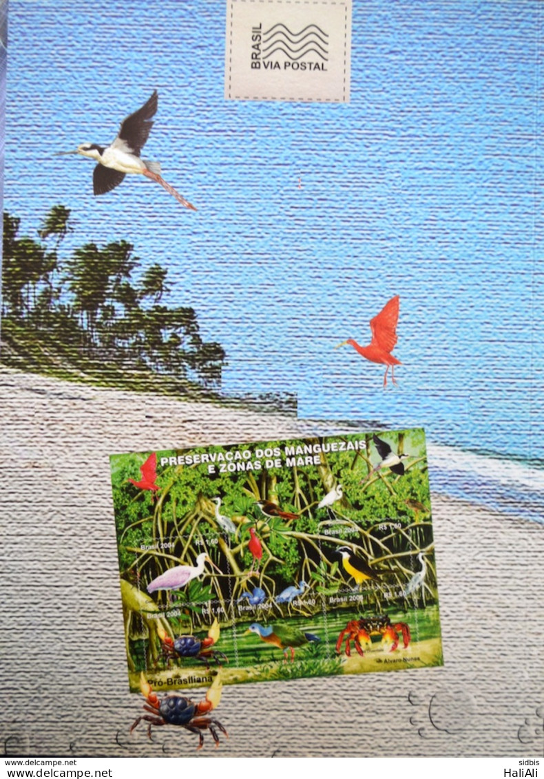 Brazil Collection Stamp Yearpack 2004 - Komplette Jahrgänge