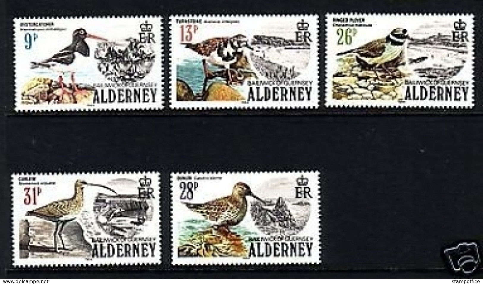 ALDERNEY MI-NR. 13-17 POSTFRISCH(MINT) SEEVÖGEL 1984 AUSTERNFISCHER SANDREGENPFEIFER - Alderney