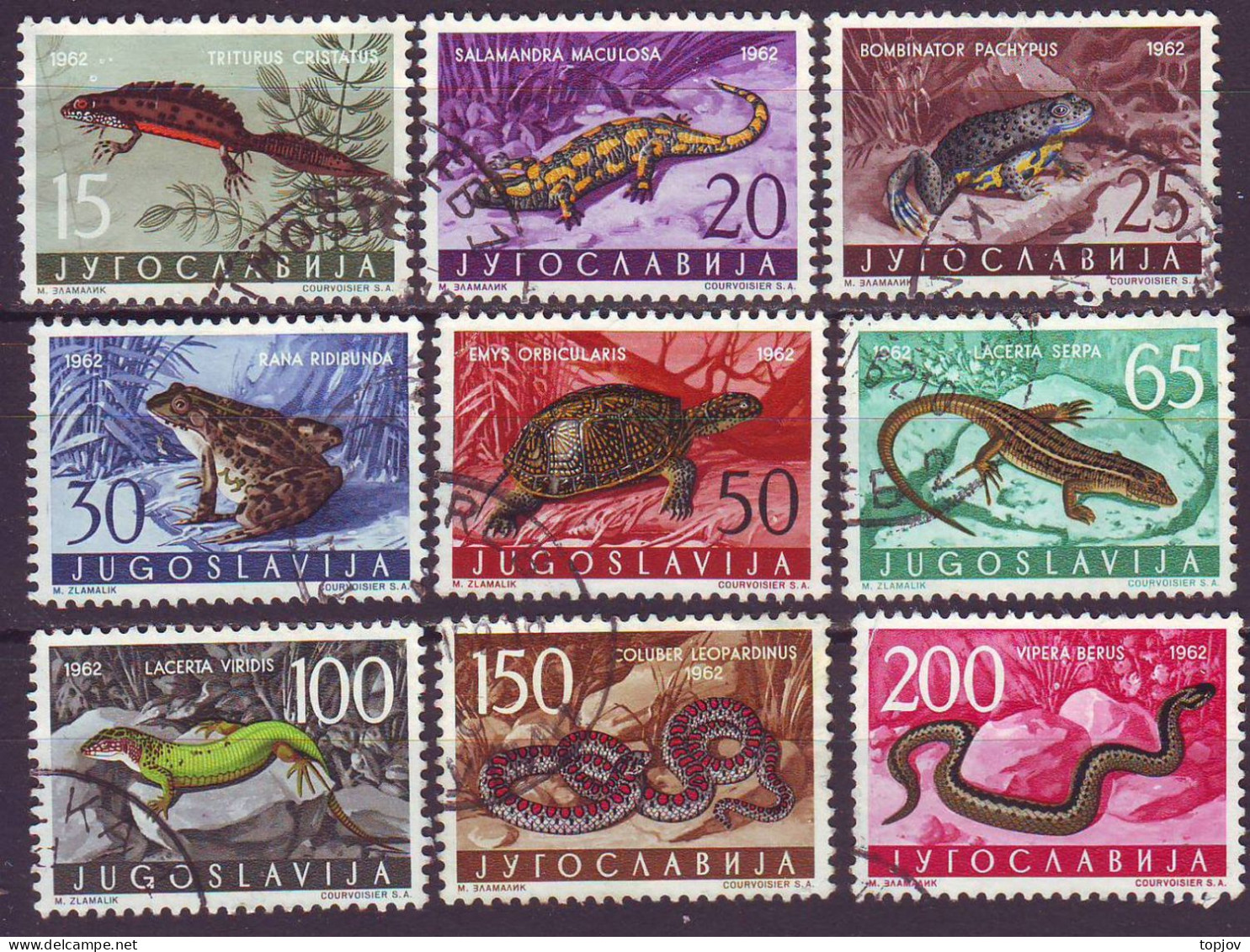 JUGOSLAVIA - DIFER. REPTILES  SET- O - 1962 - Turtles