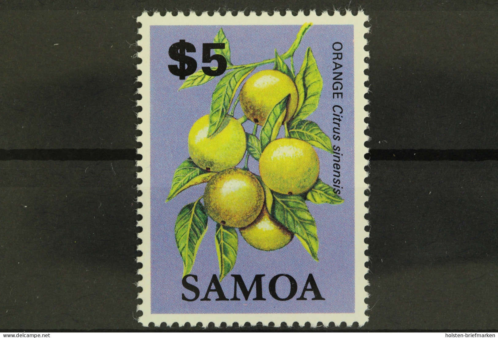 Samoa, MiNr. 534, Orangen, Postfrisch - Samoa