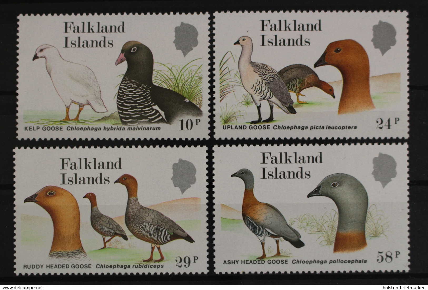 Falklandinseln, MiNr. 480-483, Postfrisch - Islas Malvinas