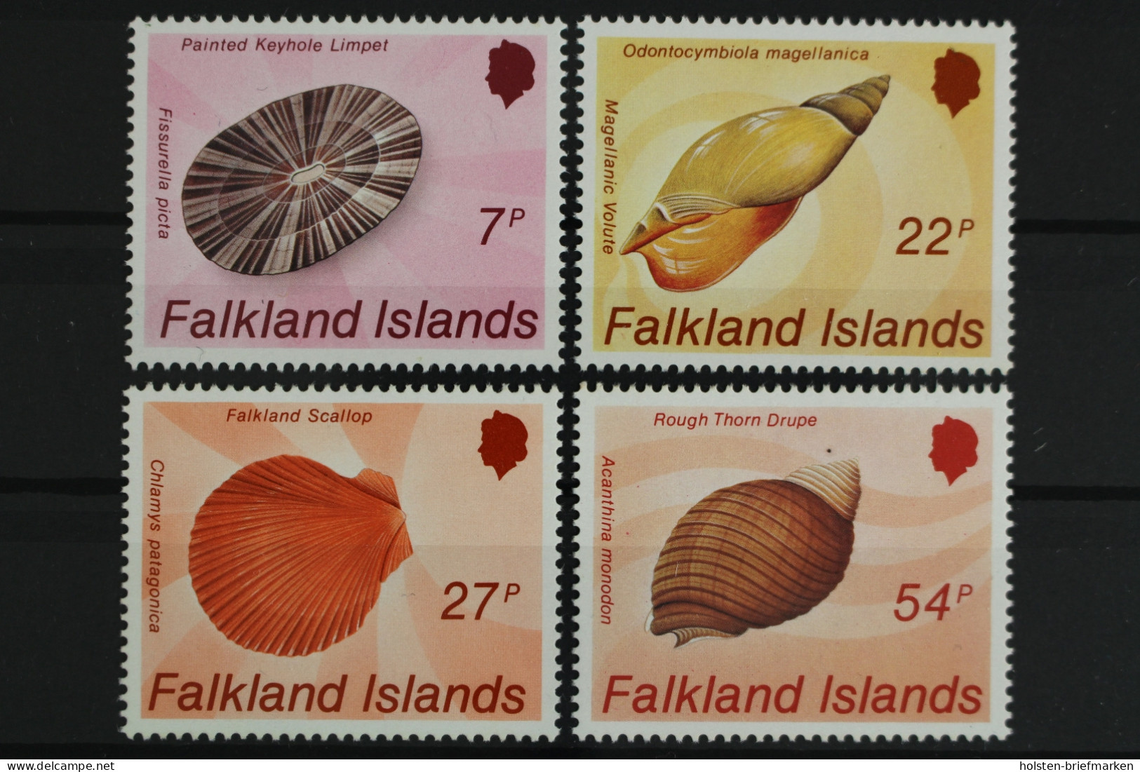 Falklandinseln, MiNr. 440-443, Muscheln, Postfrisch - Islas Malvinas