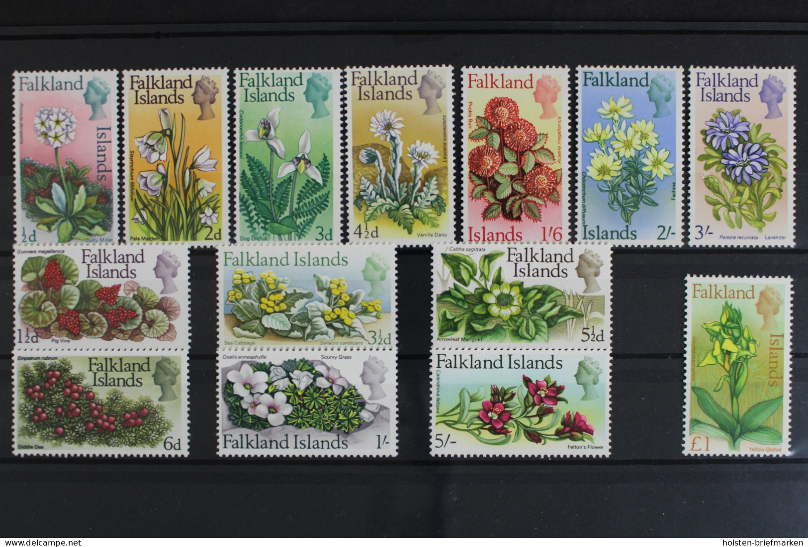 Falklandinseln, MiNr. 161-174, Blumen, Postfrisch - Falklandeilanden