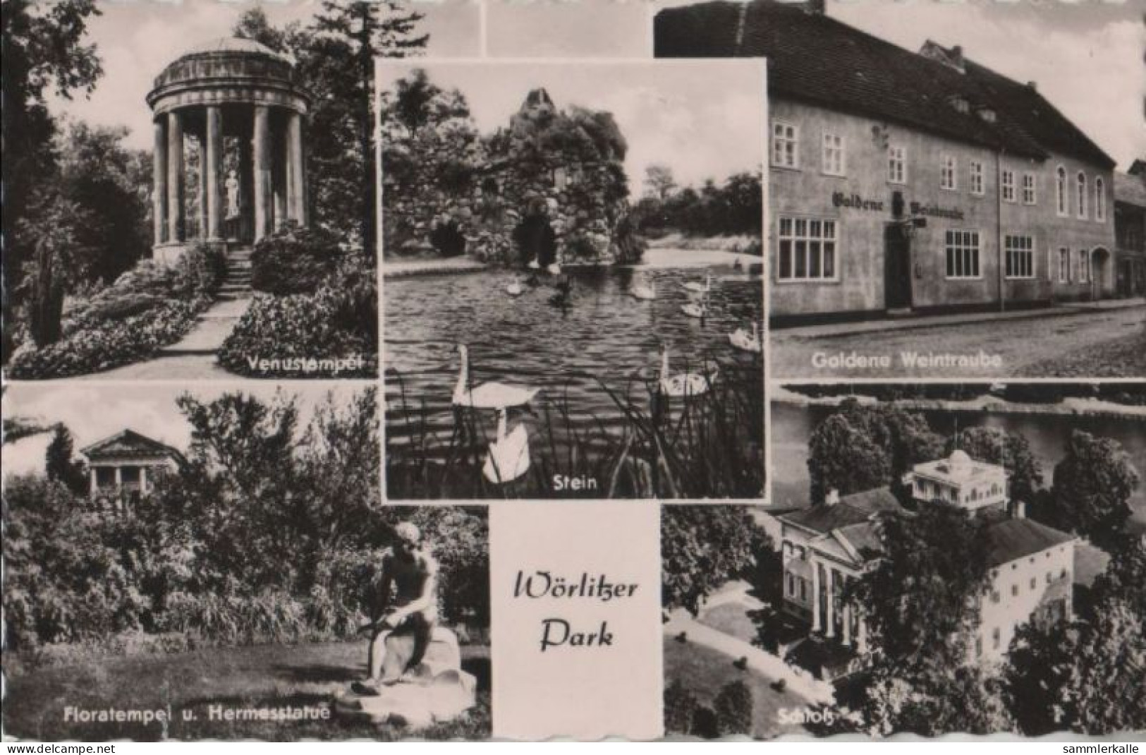 62603 - Wörlitz - Park, U.a. Schloss - 1962 - Woerlitz