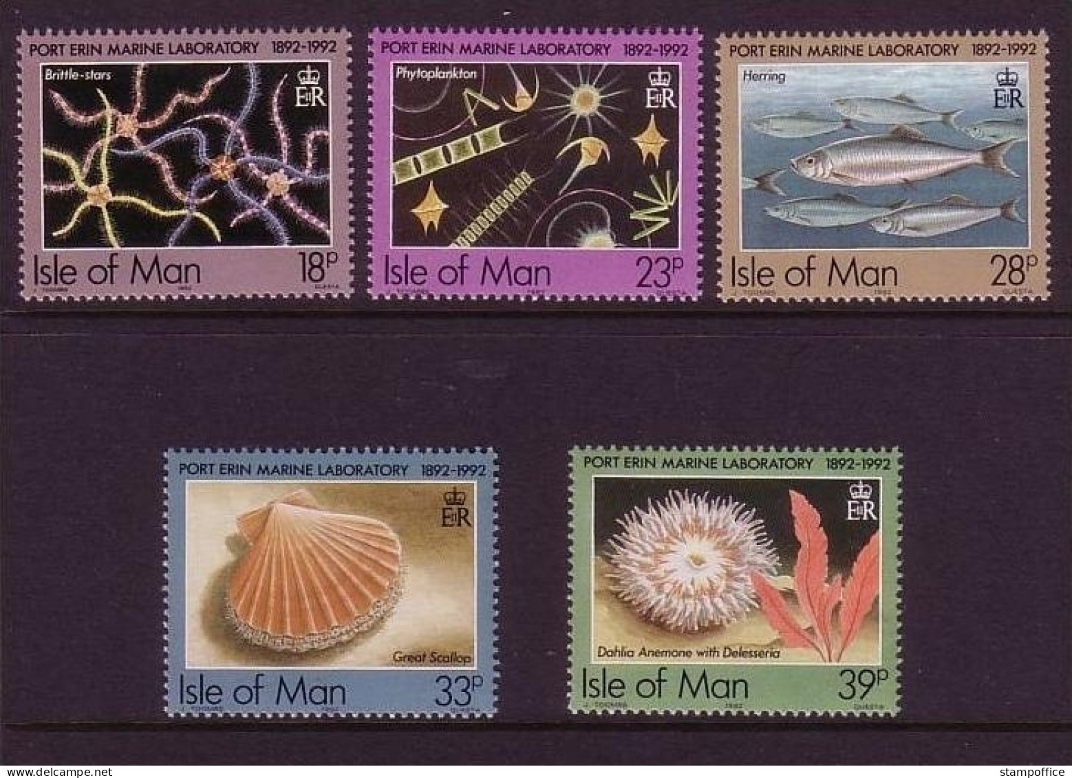 INSEL MAN MI-NR. 507-511 POSTFRISCH(MINT) MEERESBIOLOGIE - MUSCHELN, HERINGE, PLANKTON - Schelpen