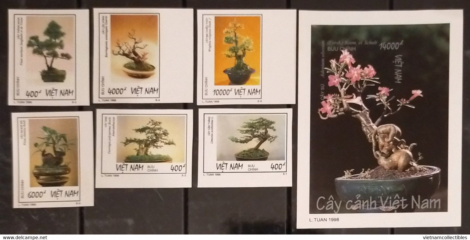 Vietnam Viet Nam MNH Imperf Stamps & Souvenir Sheet 1998 : Bonsai / Plant / Flora (Ms773) - Vietnam