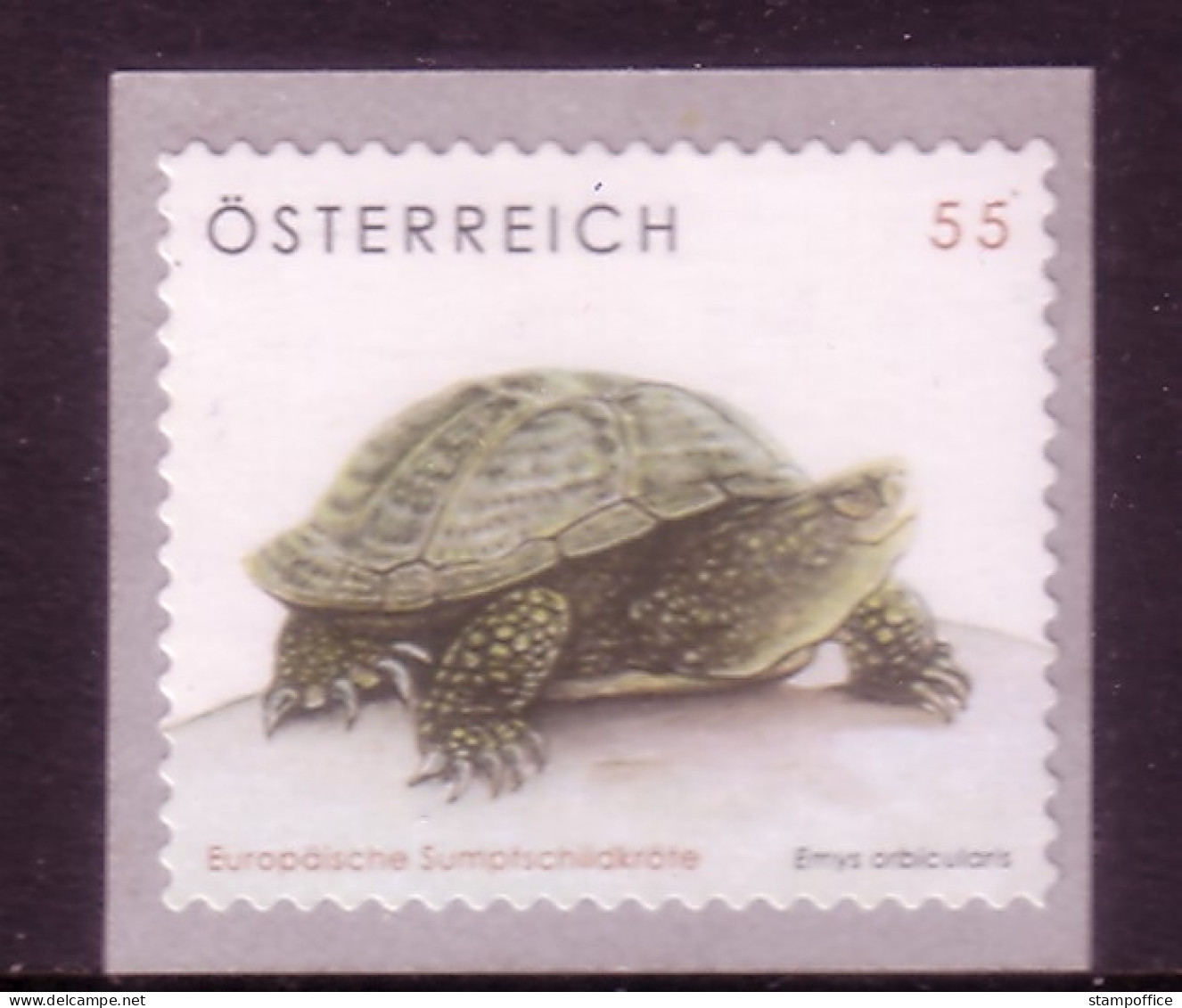 ÖSTERREICH MI-NR. 2624 POSTFRISCH(MINT) SCHILDKRÖTE 2006 - Schildpadden