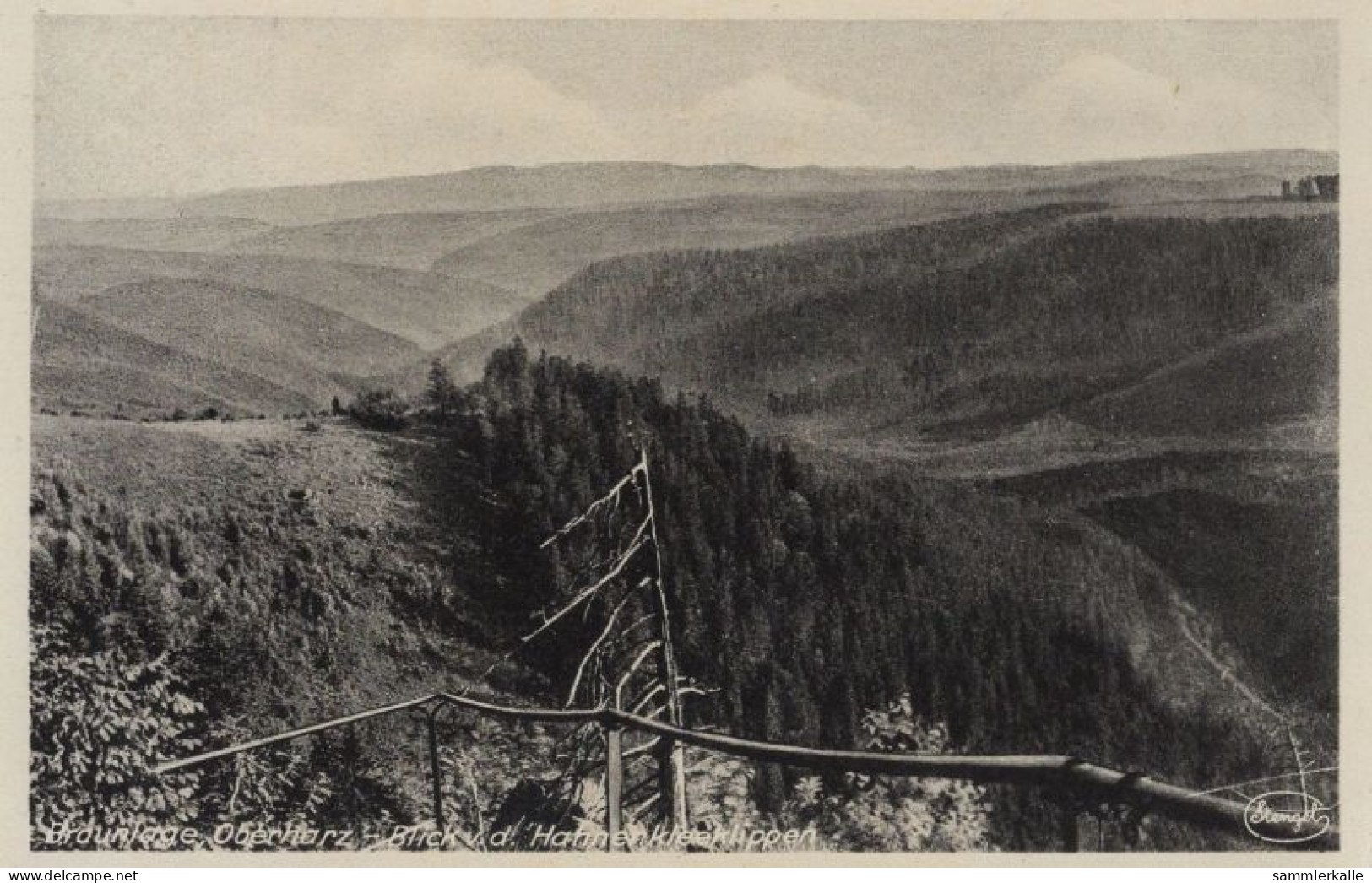 125618 - Braunlage (OT Von Braunlage) - Blick Von Den Hahnenkleeklippen - Braunlage