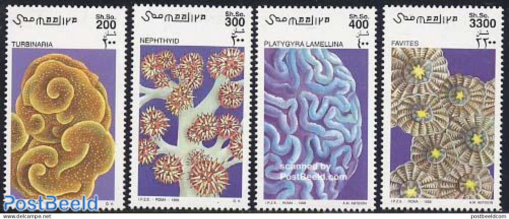 Somalia 1998 Corals 4v, Mint NH, Nature - Corals - Somalia (1960-...)