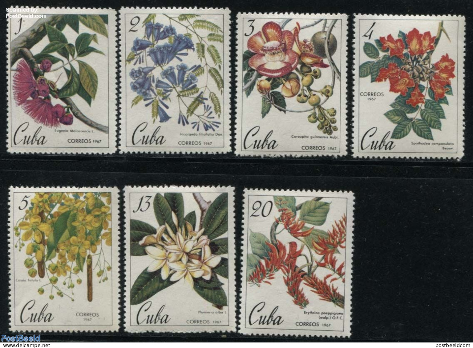 Cuba 1967 Botanic Gardens 7v, Mint NH, Nature - Flowers & Plants - Nuevos