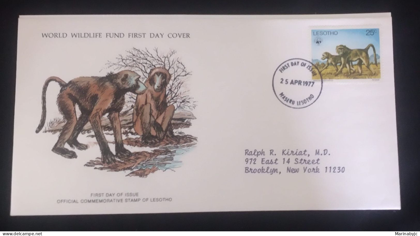 EL)1977 LESOTHO, WORLD WILDLIFE FUND, WWF, BLACK BABOON, CIRCULATED TO NEW YORK - USA, FDC - Lesotho (1966-...)