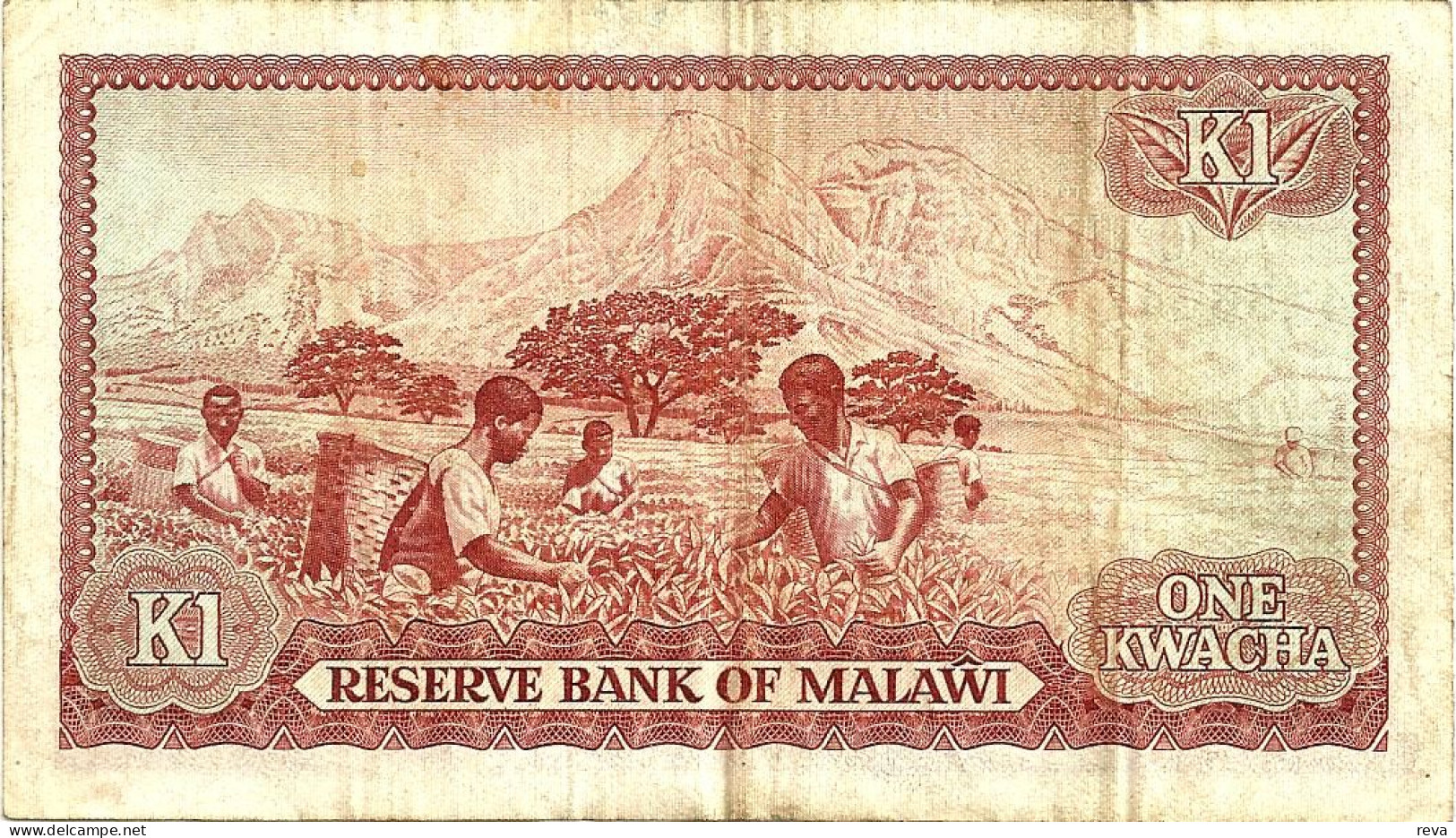 MALAWI 1 KWACHA PURPLE MAN FRONT LANDSCAPE MAN BACK DATED 01-01-1981 P.14 F+ READ DESCRIPTION - Malawi