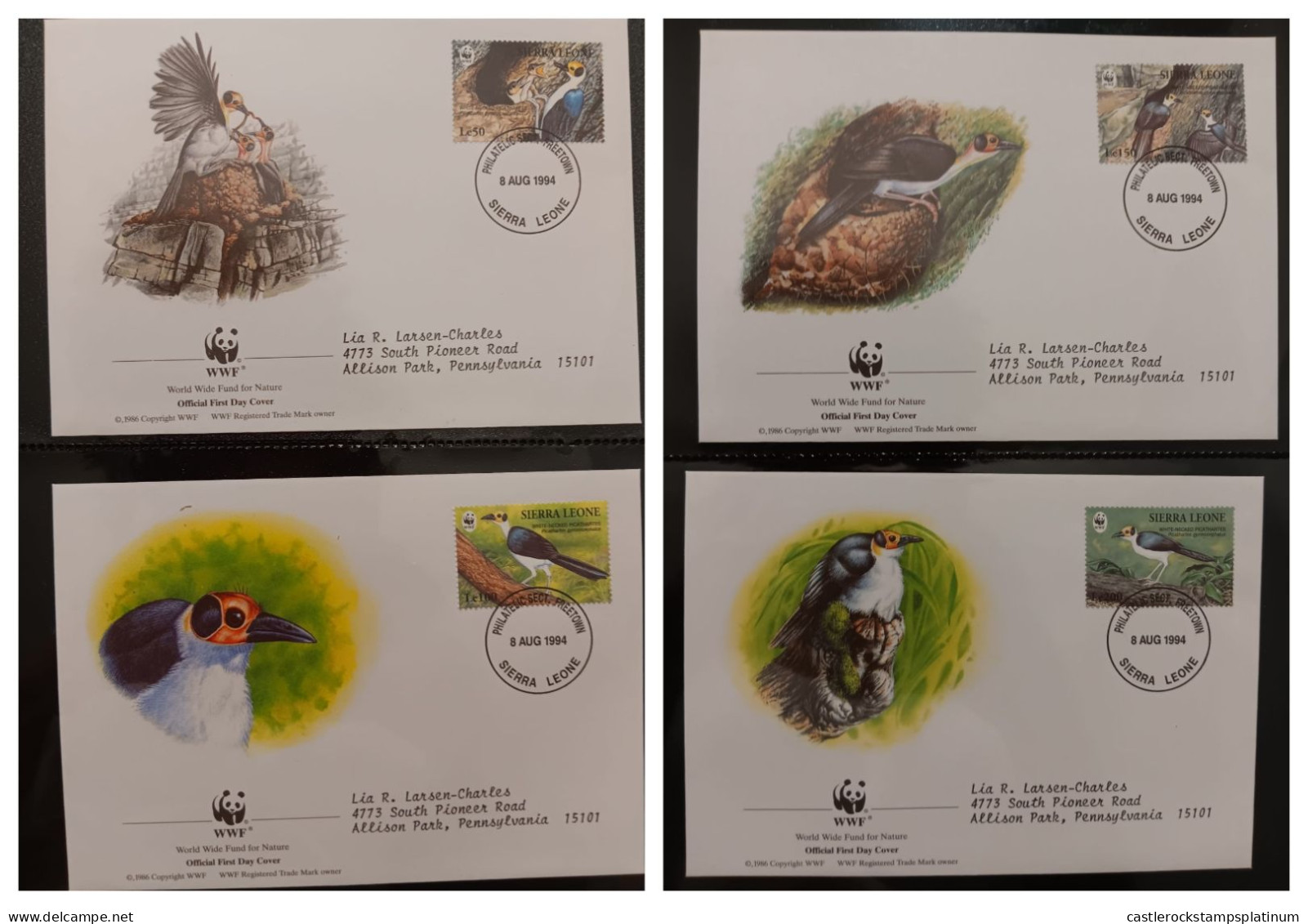 O) 1995  SIERRA LEONE, WWF - WORLD WILDLIFE FUND, BIRDS -  WHITE NACKED PICATHARTES, FEEDING YOUNG, BROWN TREE, TWO AT N - Sierra Leone (1961-...)