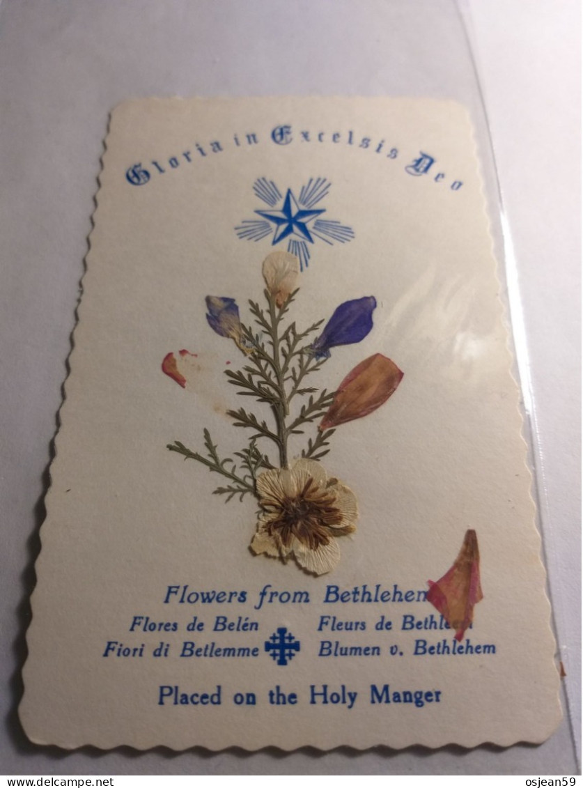 Bethlehem- Fleur De La Terre Sainte. - Religión & Esoterismo