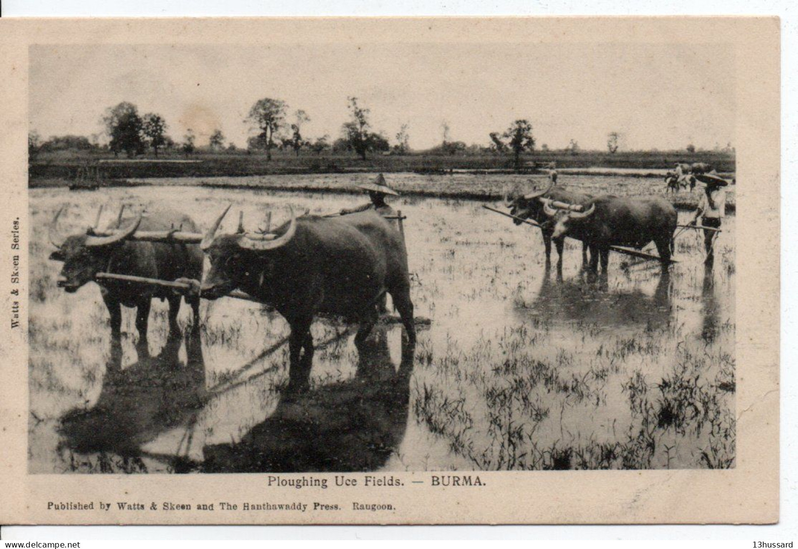 Carte Postale Ancienne Birmanie - Ploughing Uce Fields - Agriculture - Myanmar (Burma)