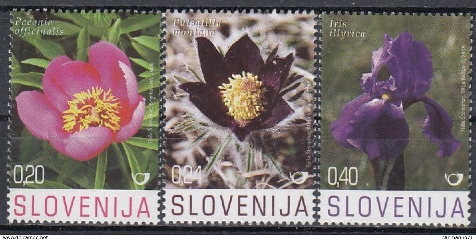 SLOVENIA 673-675,unused (**) Flowers - Slovenia