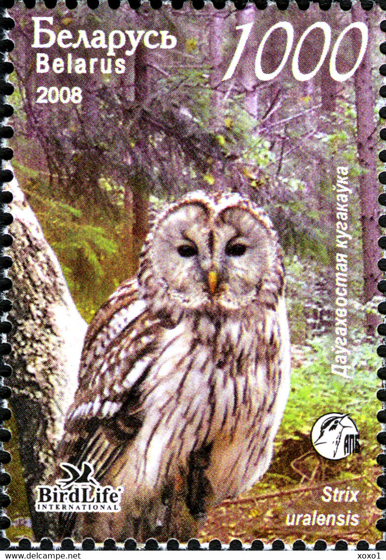 Belarus 2008 MiNr. 750 - 753 Weißrußland Owls II BIRDS BirdLife 5 M\sh  MNH** 29,00 € - Owls